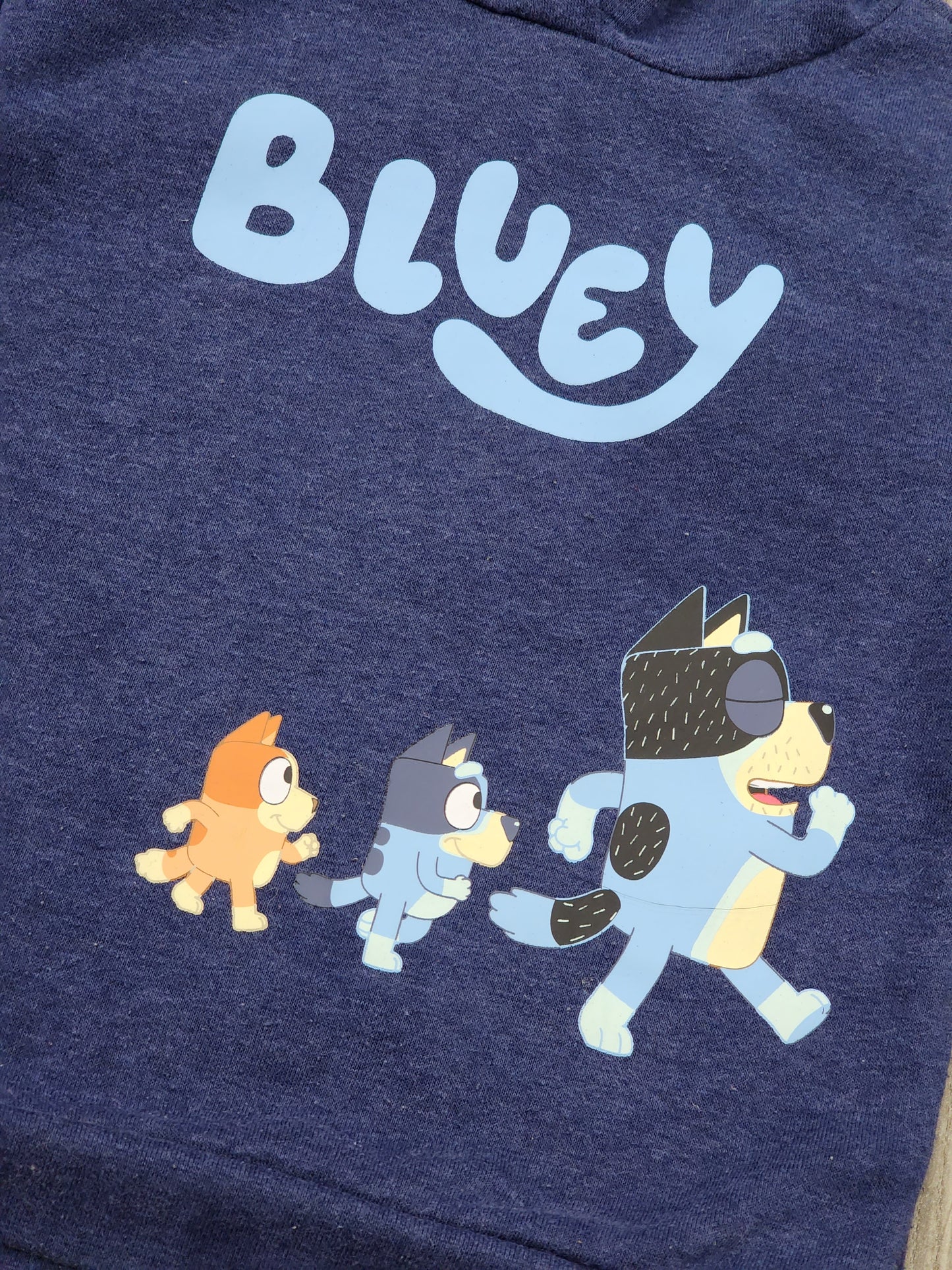 5T Hoodie BLUEY