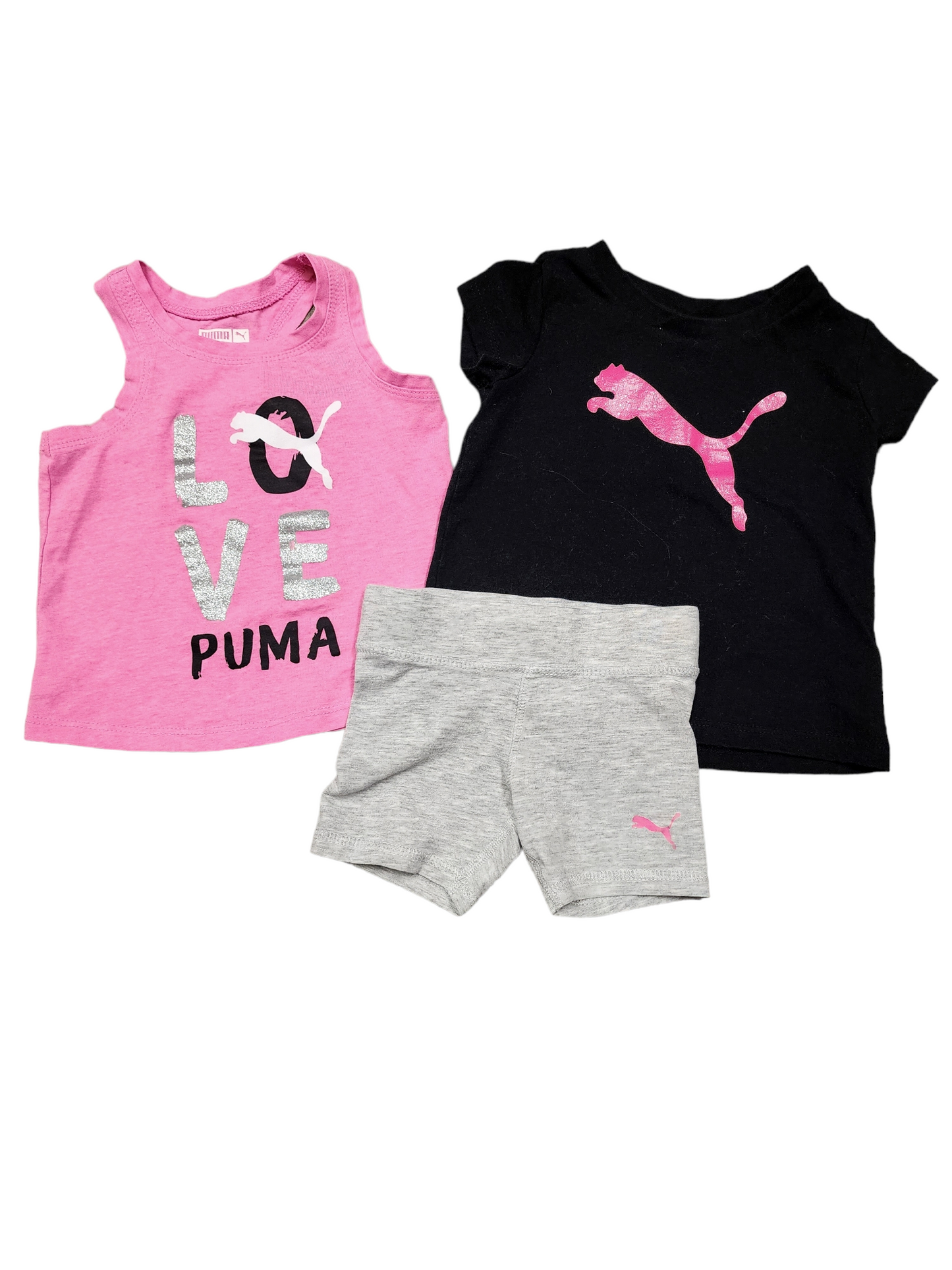 2T Ensemble PUMA